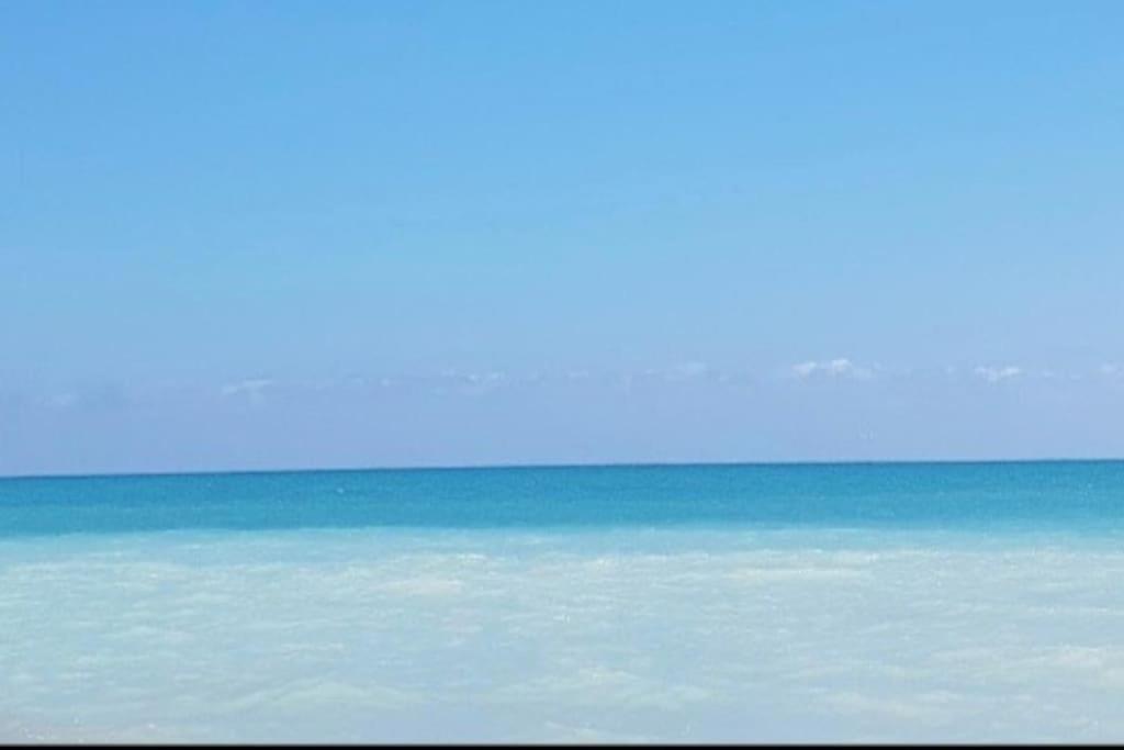 Apartamento Junto Al Mar Con Wifi Y Piscina 萨贡托 外观 照片